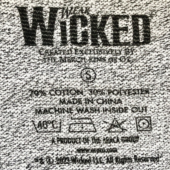 Wicked, Broadway Musical, Pullover, Hoodie,‎ Heather Grey, With Purple, Size S - Picture 9 of 9
